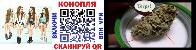 Где найти наркотики Заречный Галлюциногенные грибы  Меф мяу мяу  ГАШИШ  Каннабис  КОКАИН 