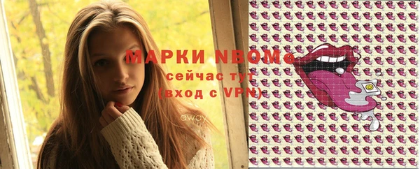 хмурый Дмитровск
