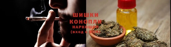 прущий лед Елизово