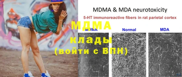 бошки Елабуга