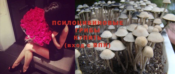 бошки Елабуга