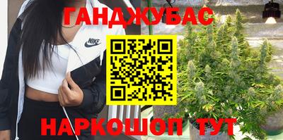 амф Ефремов