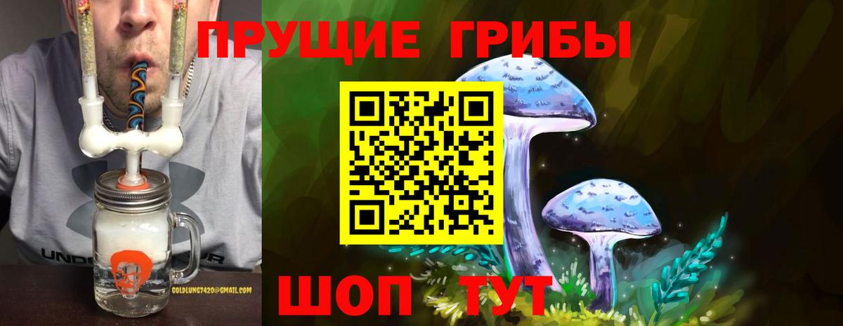Псилоцибиновые грибы GOLDEN TEACHER  Вход с VPN  Заречный 